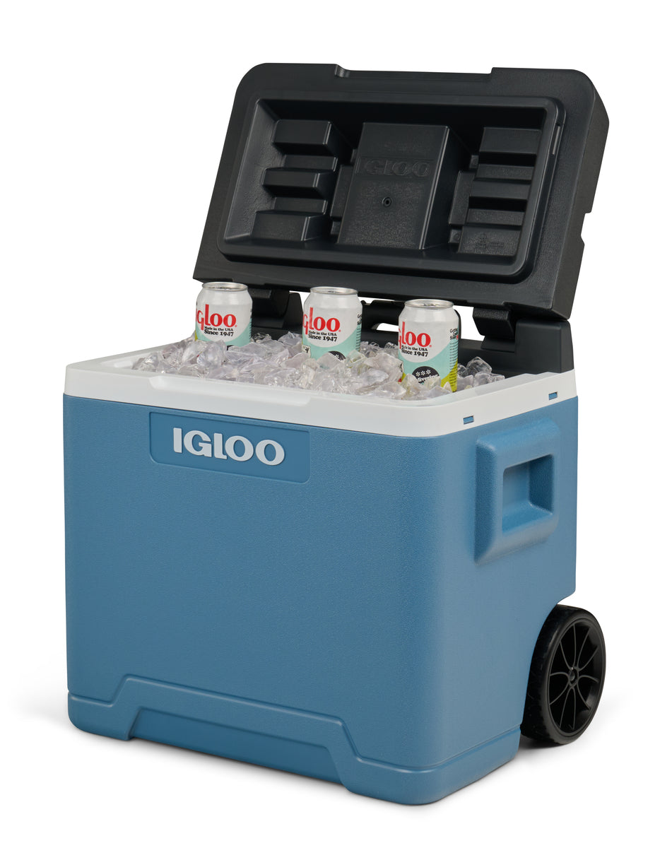 Igloo IP42
