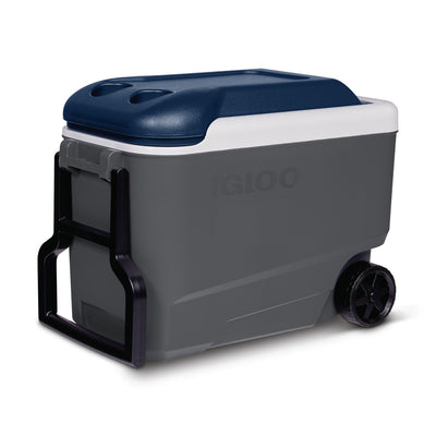 Igloo MC40R