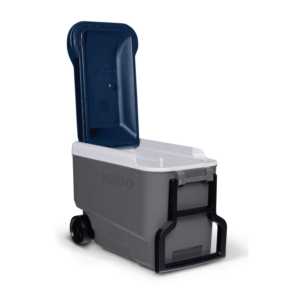 Igloo MC40R