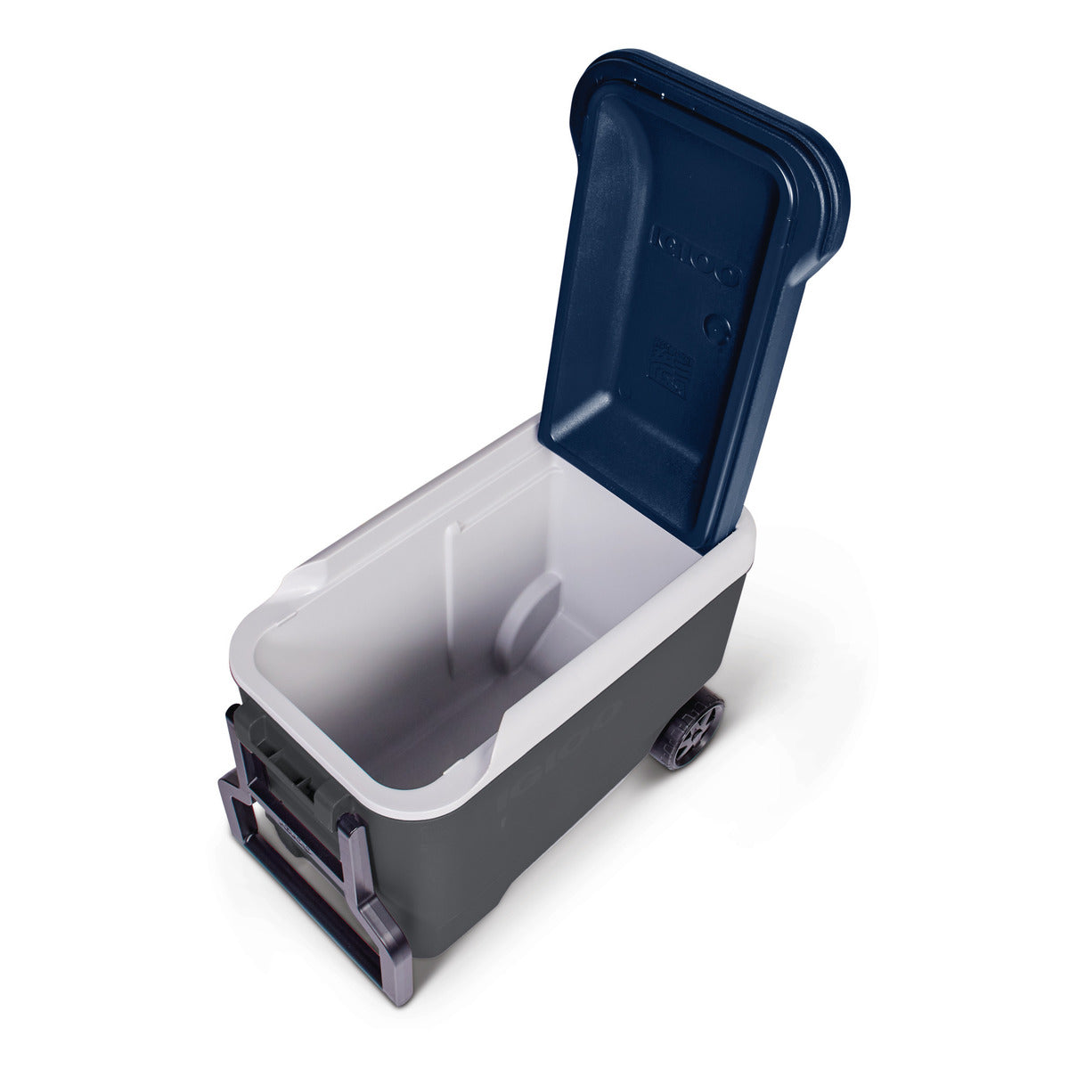 Igloo MC40R