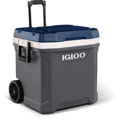 Igloo MC62R