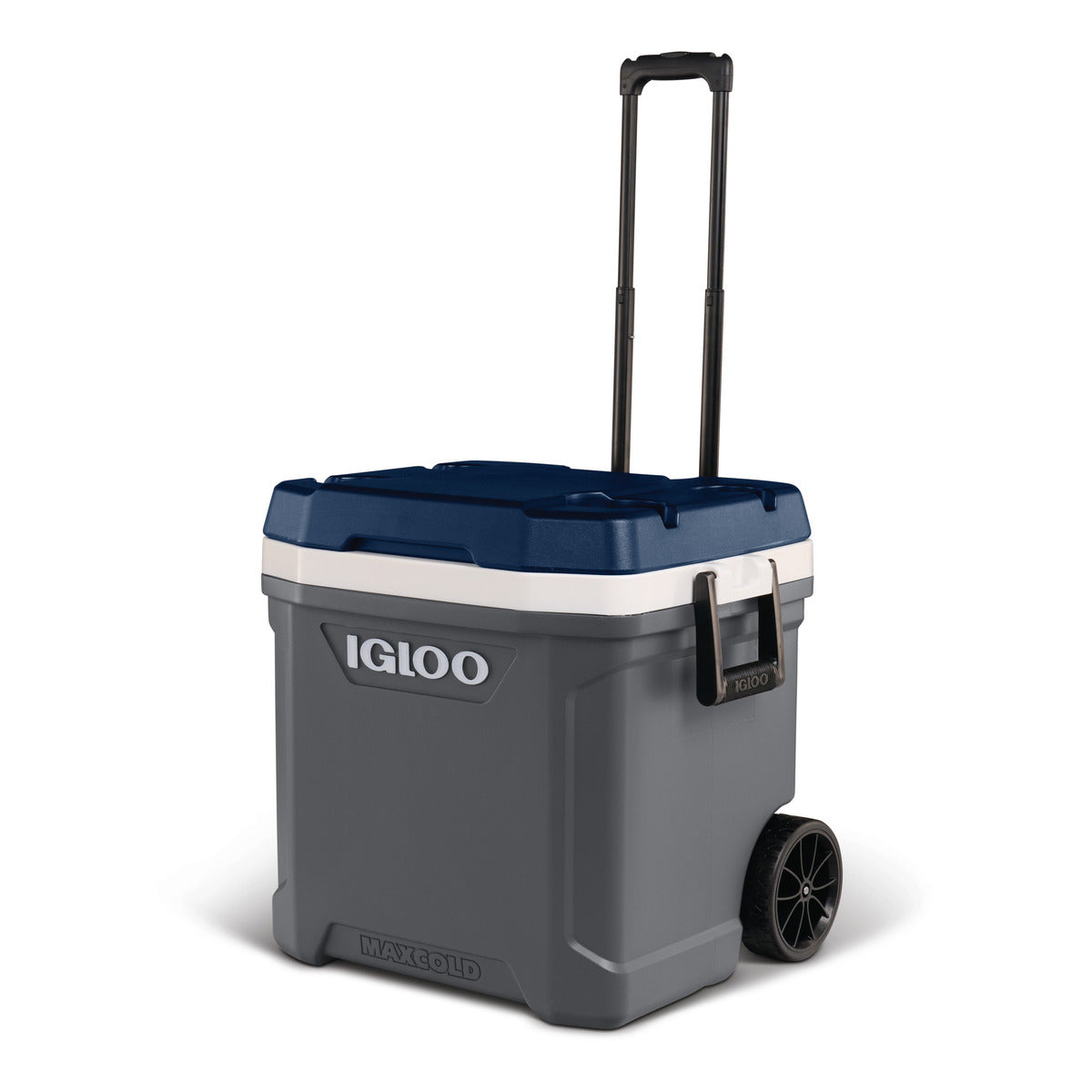 Igloo MC62R