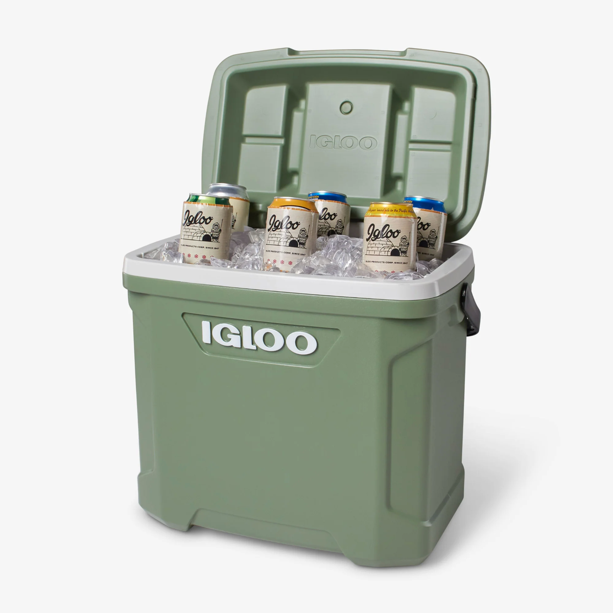 Igloo ECO30