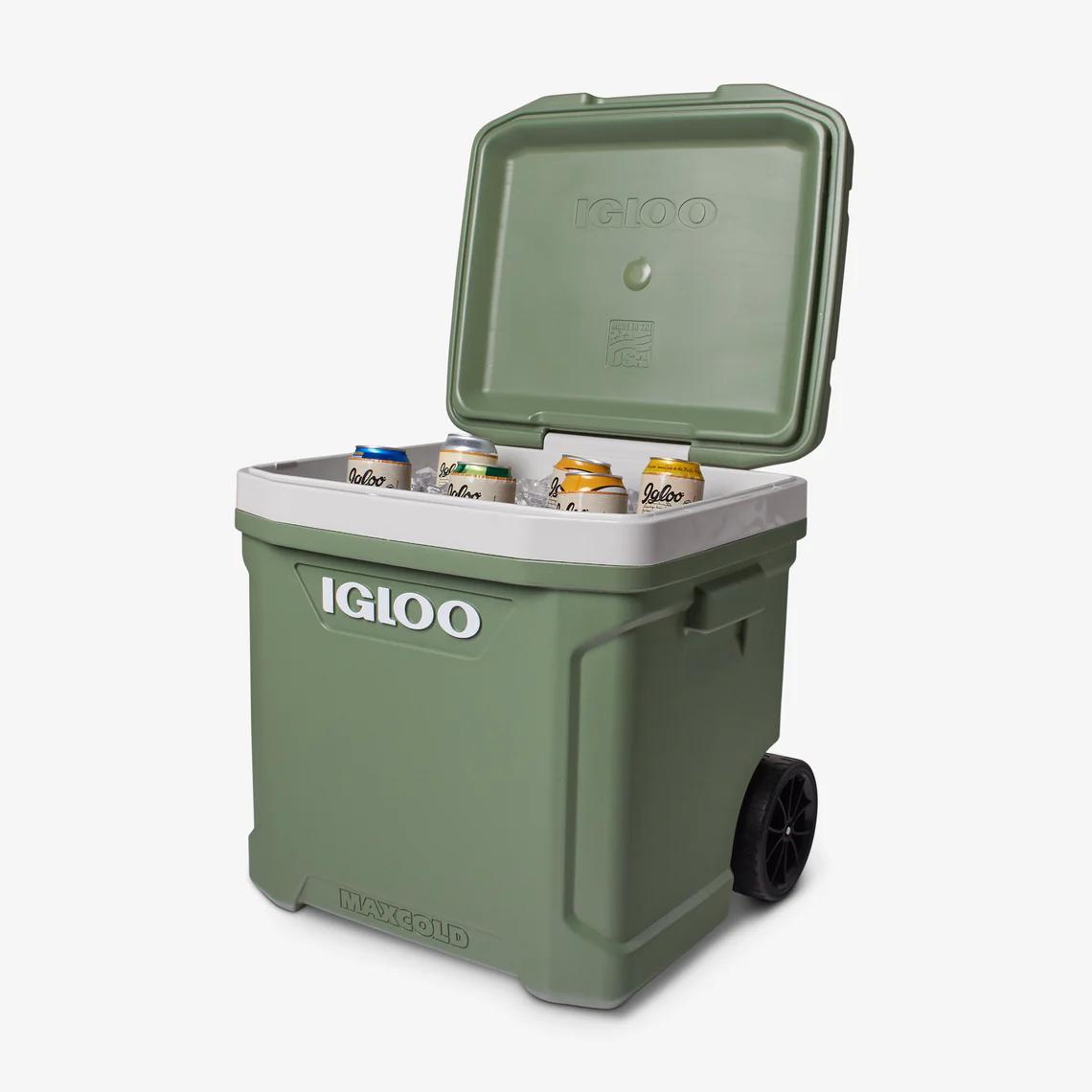 Igloo ECO60R