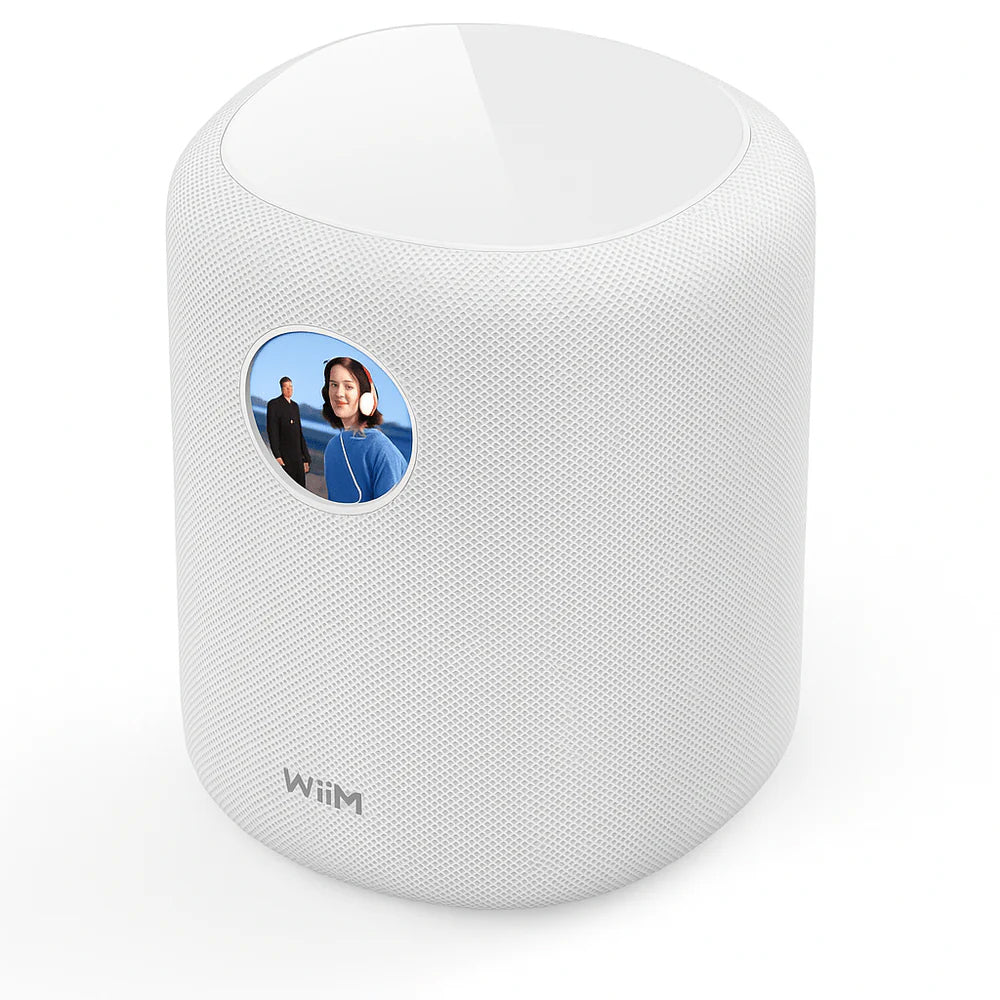 Wiim Sound wit