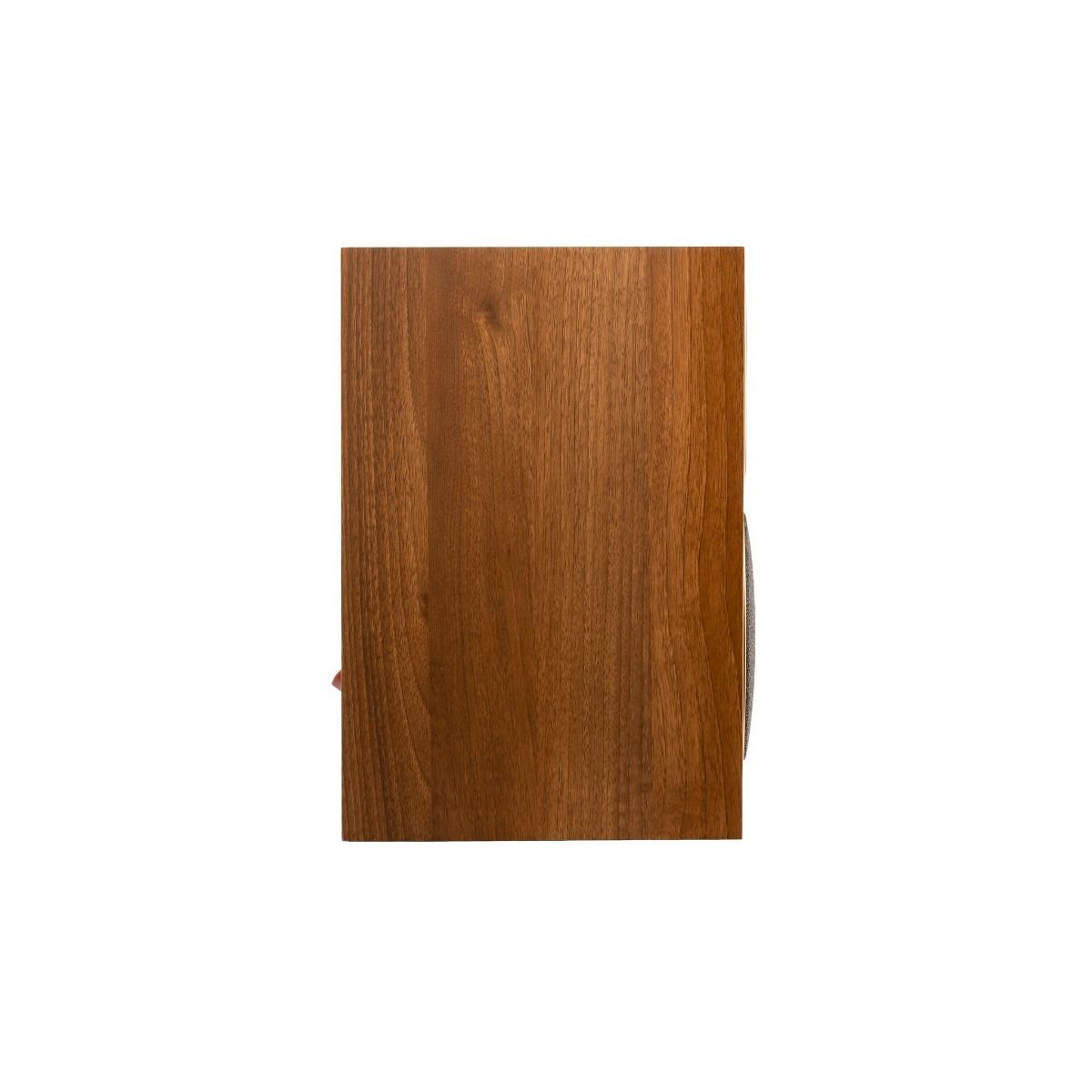 Martin Logan Motion Foundation B1 wa