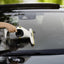 Karcher WV1 Compact