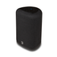 Bluesound PULSE FLEX BLACK P130