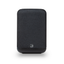 Bluesound PULSE FLEX BLACK P130