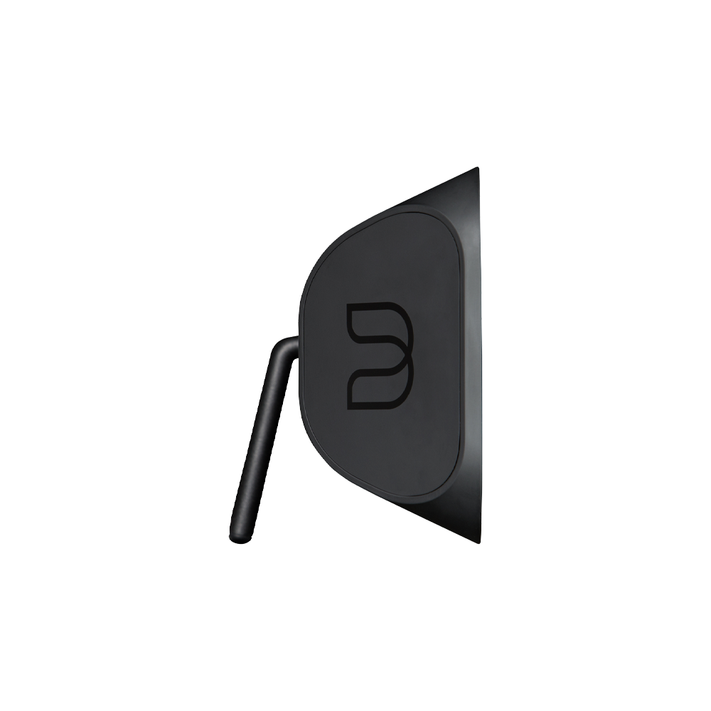 Bluesound Pulse Soundbar Plus