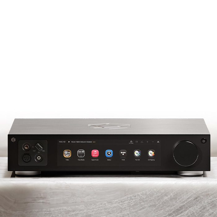Hifi Rose RS451 ZILVER