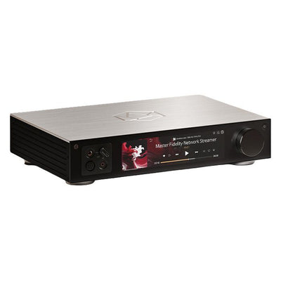 Hifi Rose RS451 ZILVER