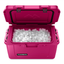 Dometic Patrol 20 Orchid roze