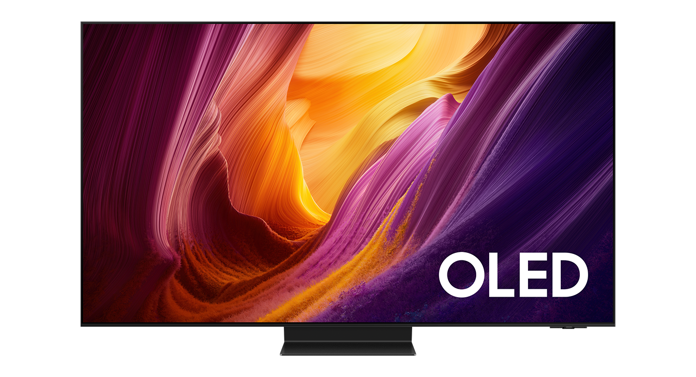 Samsung QE77S95HFTXXN