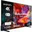 Salora Smart55TV