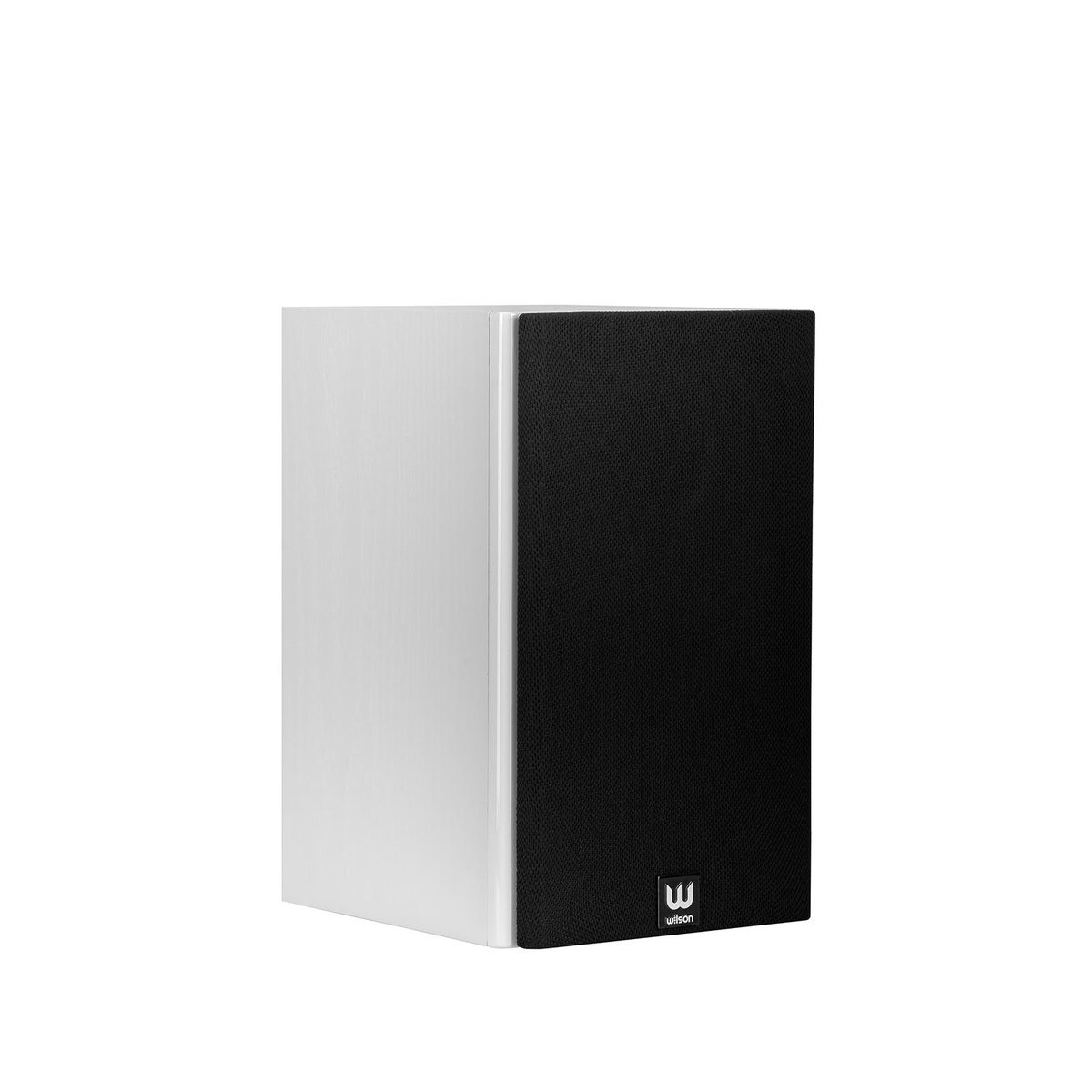 Wilson RAPTORMINIWHITE