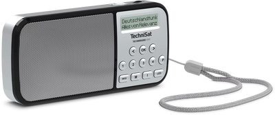 TechniSat RDR zilver