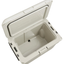Coleman Pro 55QT