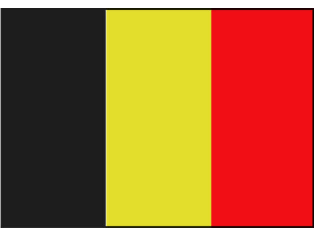 Talamex Vlag België 20x30 cm