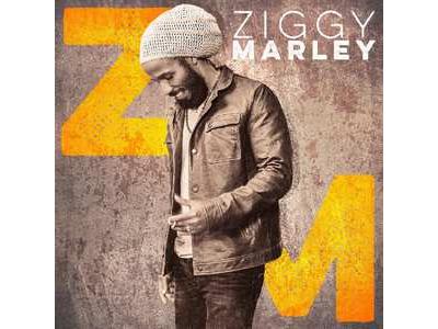 V2 Records Ziggy Marley